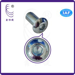 專業(yè)解析 內(nèi)六角盤(pán)頭螺絲M6、鉆尾自轉(zhuǎn)螺絲及其工廠供應(yīng)